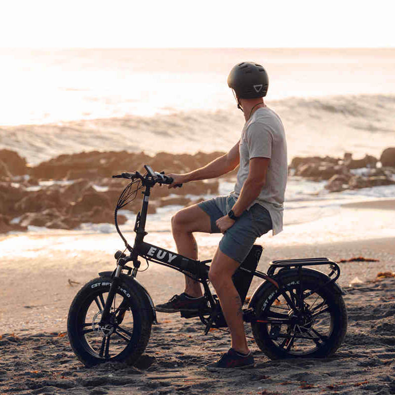 Euybike F6 20" 48V 250W Long Range Fat Tire Foldable Electric Bike