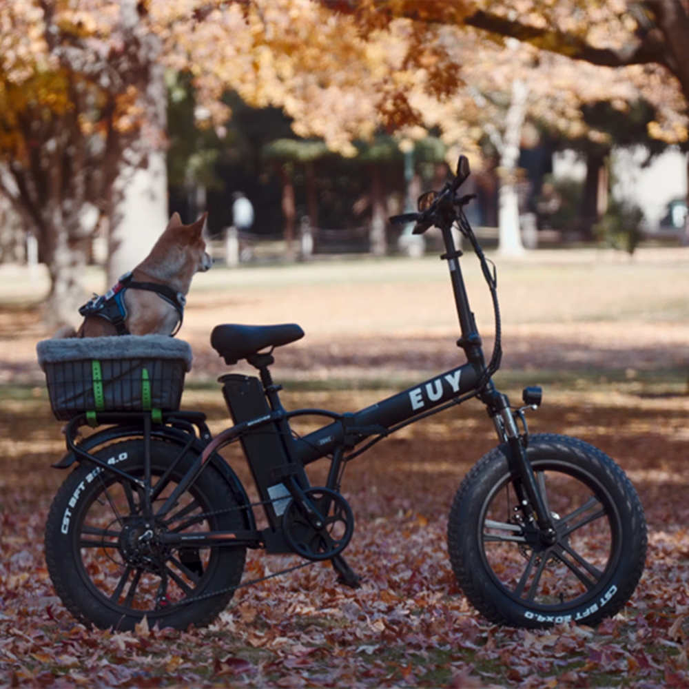 Euybike F6 20" 48V 250W Long Range Fat Tire Foldable Electric Bike