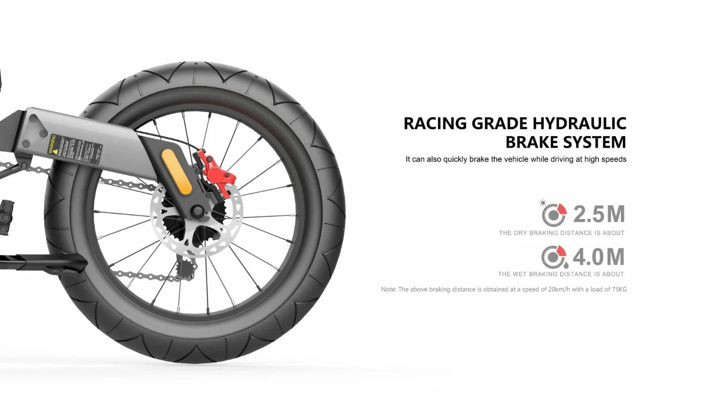 NEXX X5 Plus 20" 750W Off Road Fat Tire Ebike