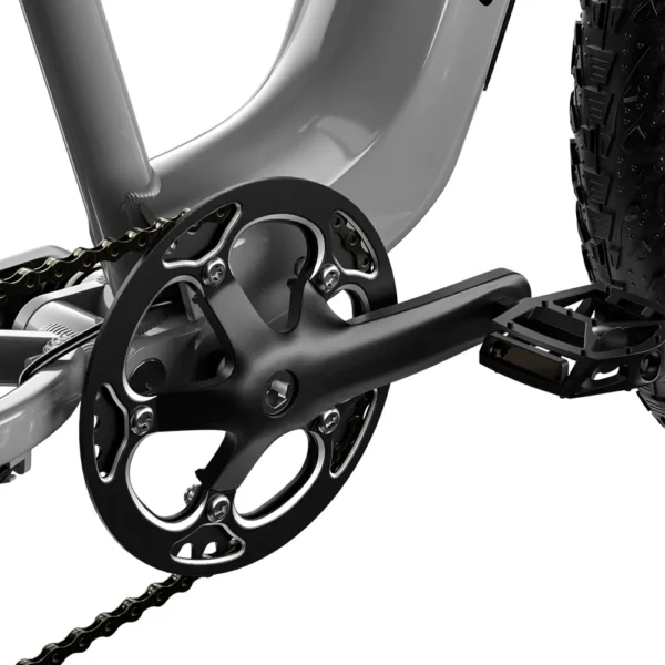 Shengmilo S600 48V 2000W Dual Motor Electric Bike